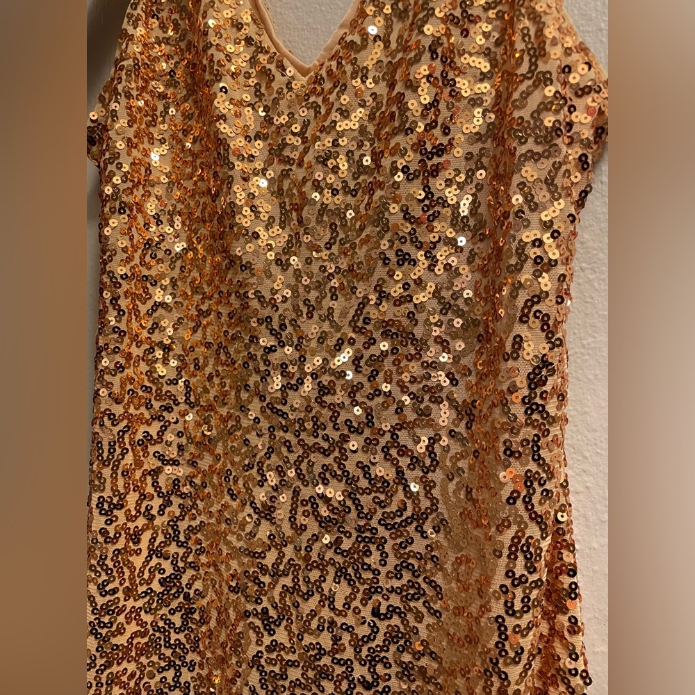 Pretty Guide Sequin Dress | Copper Rustic Gold  *BRAND NEW WITH TAG*